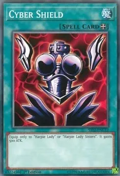 Cyber Shield