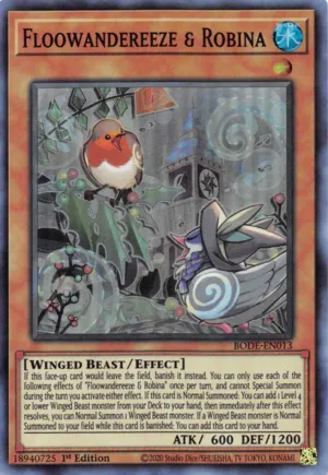 Floowandereeze & Robina